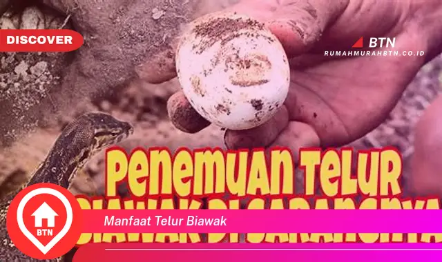 manfaat telur biawak