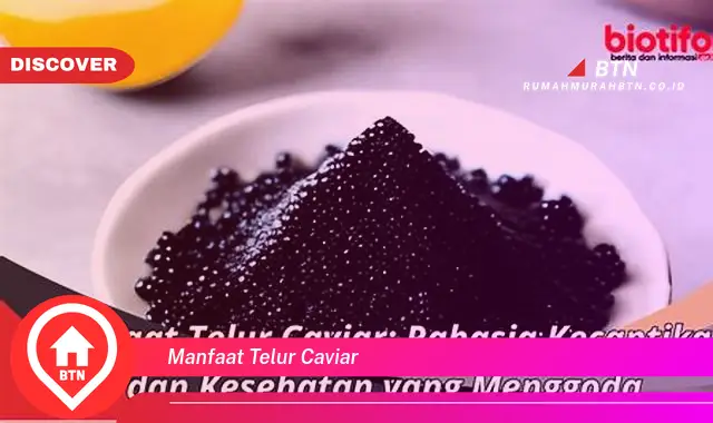 manfaat telur caviar