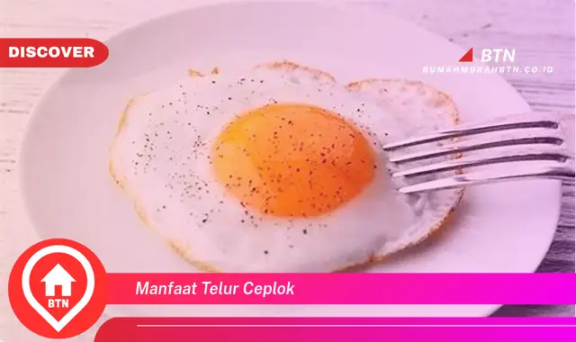 manfaat telur ceplok