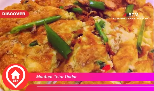 manfaat telur dadar