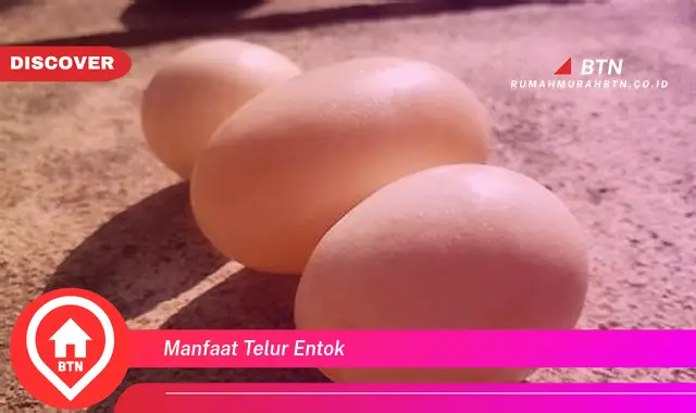 manfaat telur entok