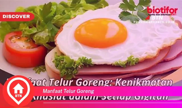 manfaat telur goreng