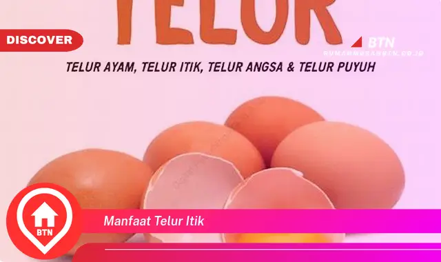 manfaat telur itik