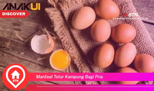 manfaat telur kampung bagi pria