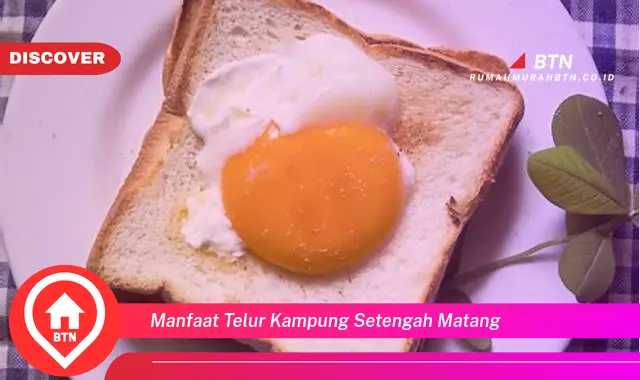 manfaat telur kampung setengah matang