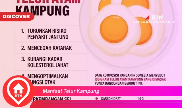 manfaat telur kampung