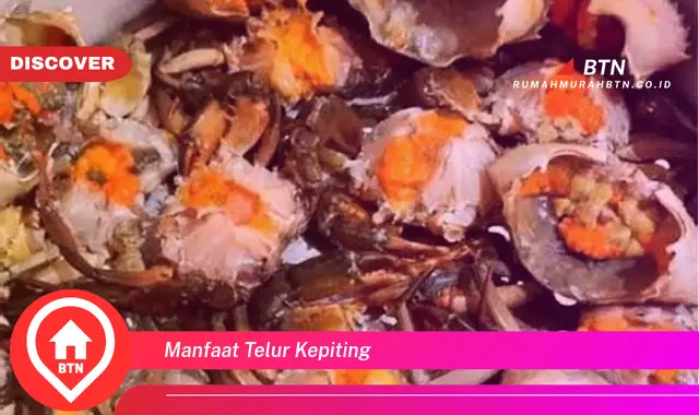 manfaat telur kepiting