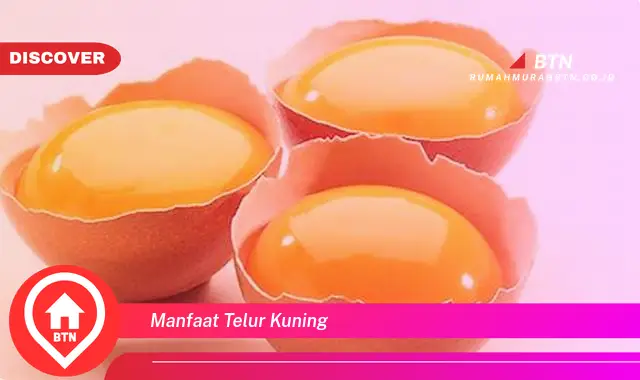 manfaat telur kuning