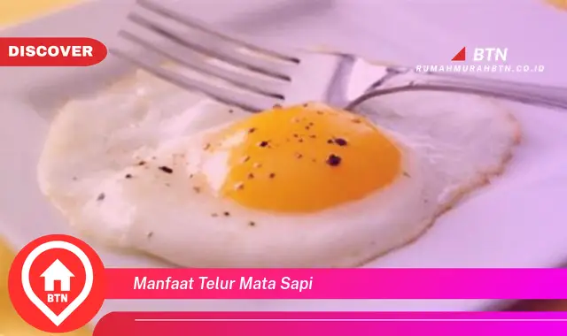 manfaat telur mata sapi