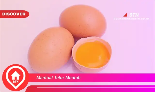 manfaat telur mentah