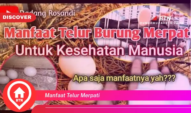 manfaat telur merpati