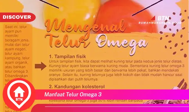 manfaat telur omega 3