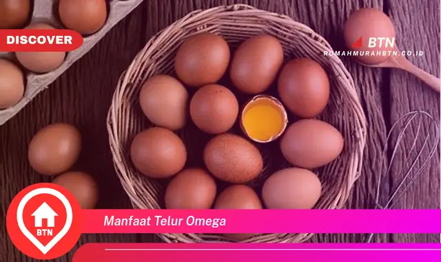 manfaat telur omega