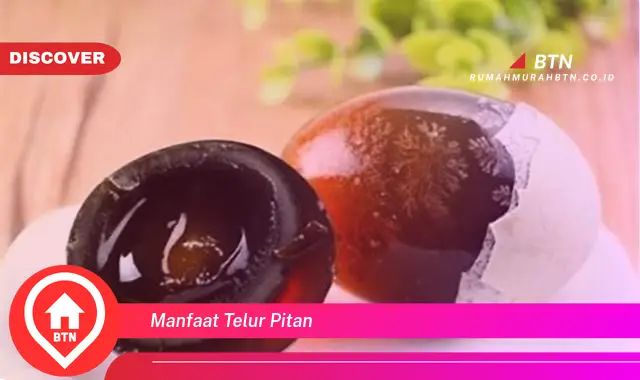 manfaat telur pitan