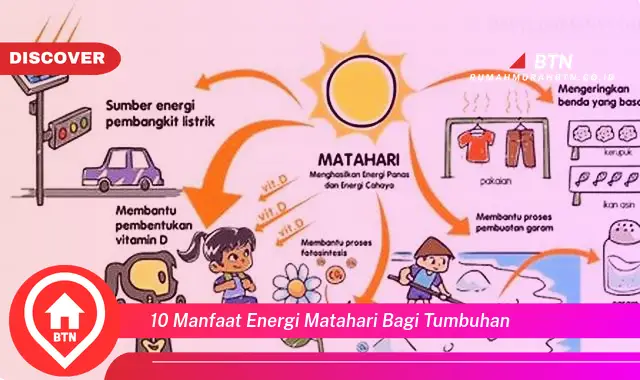 10 manfaat energi matahari bagi tumbuhan