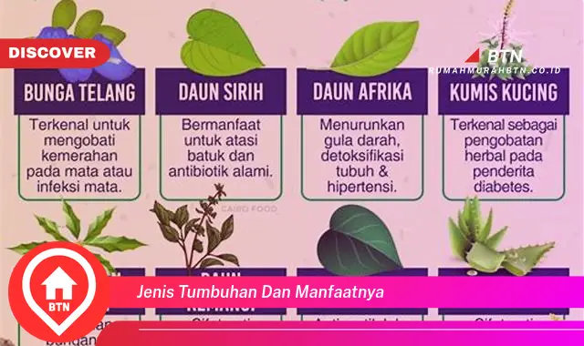 jenis tumbuhan dan manfaatnya