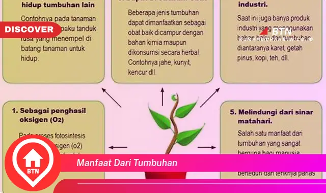 manfaat dari tumbuhan