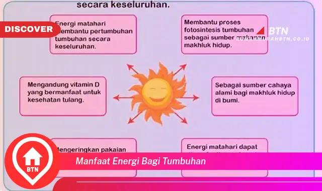 manfaat energi bagi tumbuhan