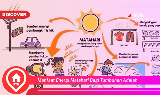 manfaat energi matahari bagi tumbuhan adalah