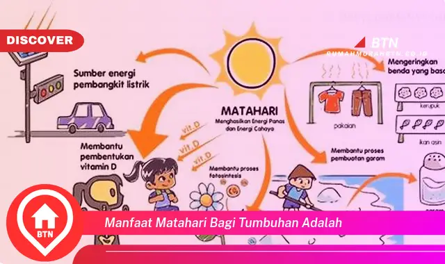 manfaat matahari bagi tumbuhan adalah