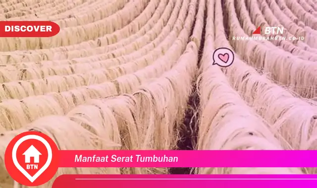 manfaat serat tumbuhan