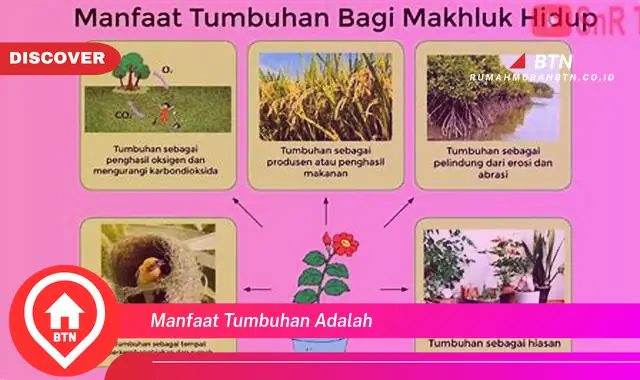 manfaat tumbuhan adalah