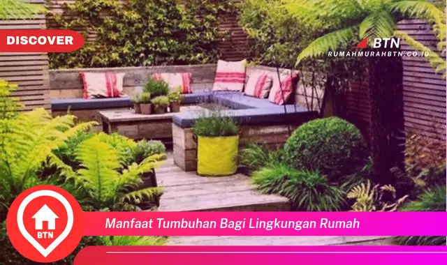 manfaat tumbuhan bagi lingkungan rumah