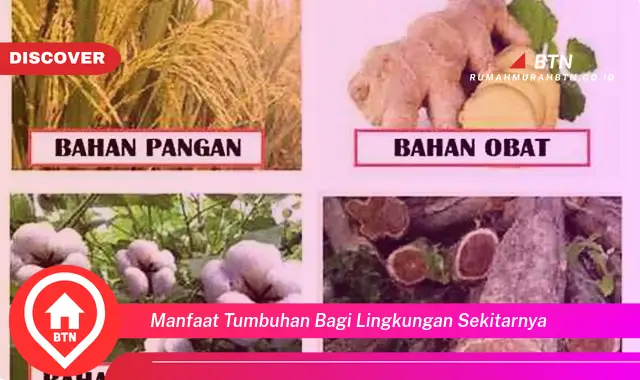 manfaat tumbuhan bagi lingkungan sekitarnya