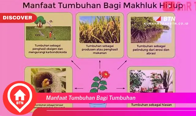 manfaat tumbuhan bagi tumbuhan