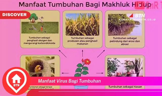 manfaat virus bagi tumbuhan