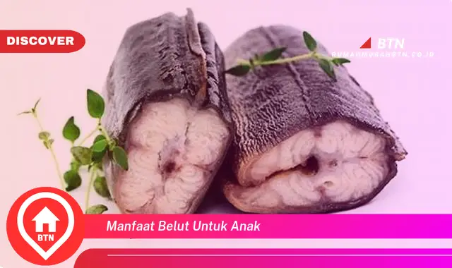 manfaat belut untuk anak