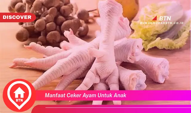 manfaat ceker ayam untuk anak