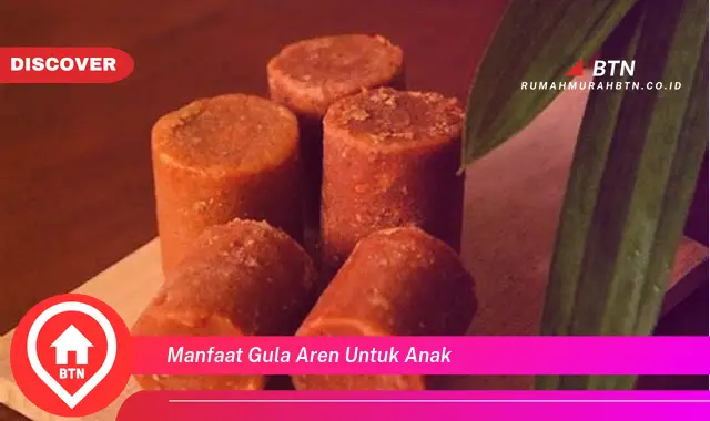 manfaat gula aren untuk anak