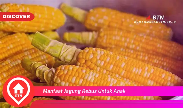 manfaat jagung rebus untuk anak