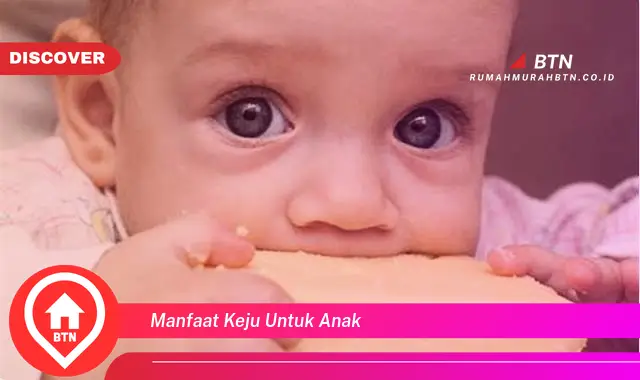 manfaat keju untuk anak