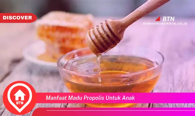 manfaat madu propolis untuk anak