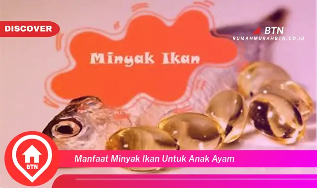 manfaat minyak ikan untuk anak ayam