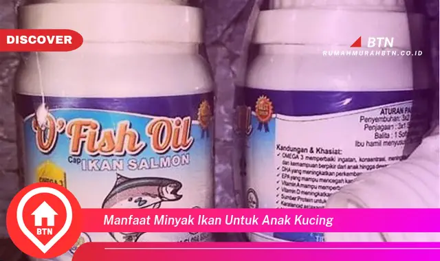 manfaat minyak ikan untuk anak kucing