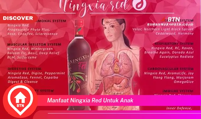 manfaat ningxia red untuk anak