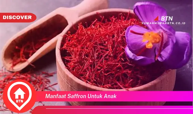 manfaat saffron untuk anak