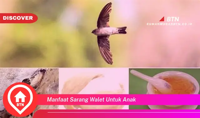 manfaat sarang walet untuk anak