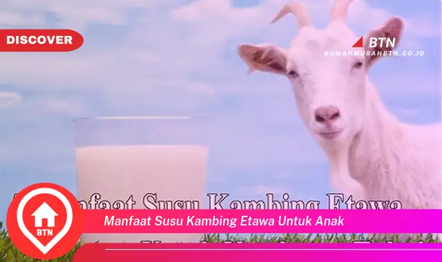 manfaat susu kambing etawa untuk anak