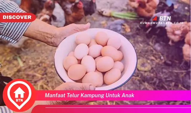 manfaat telur kampung untuk anak