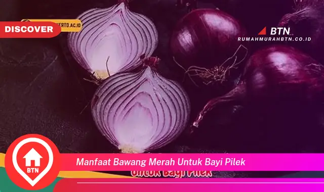 manfaat bawang merah untuk bayi pilek