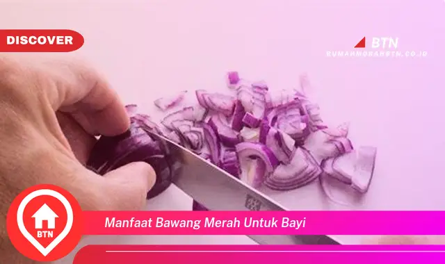 manfaat bawang merah untuk bayi