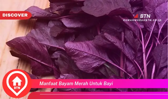 manfaat bayam merah untuk bayi