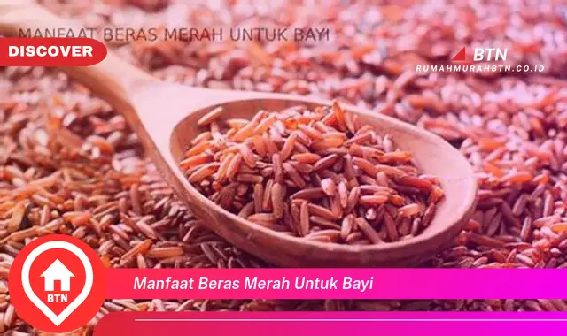 manfaat beras merah untuk bayi