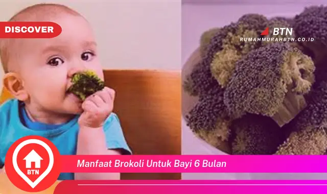 manfaat brokoli untuk bayi 6 bulan