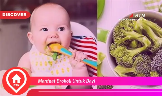 manfaat brokoli untuk bayi