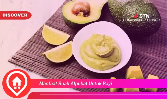 manfaat buah alpukat untuk bayi